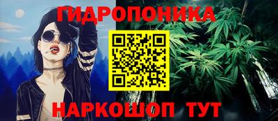 spice Кингисепп