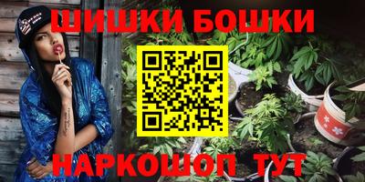 spice Кингисепп