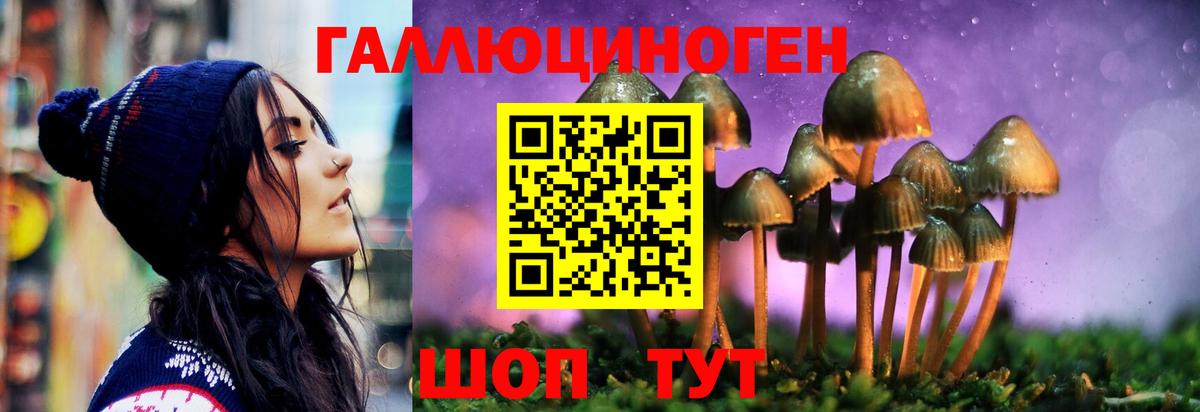Псилоцибиновые грибы Psilocybe  Вход с VPN  Дюртюли  Галлюциногенные грибы прущие грибы 